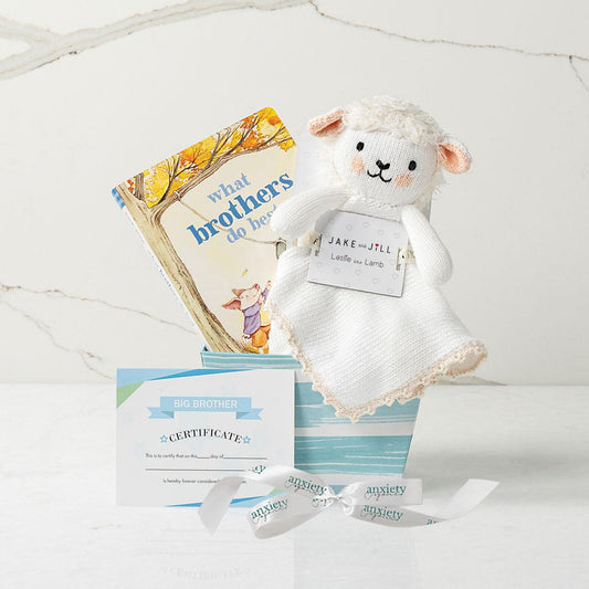 Big Brother gift basket with certificate, book, and plush toy is a Gift for sibling when baby is born with keepsakes and storybook