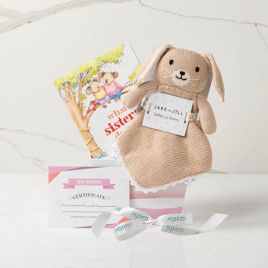 Big Sister gift basket with certificate, book, and plush toy is the perfect Gift for sibling when baby is born with keepsakes and storybook