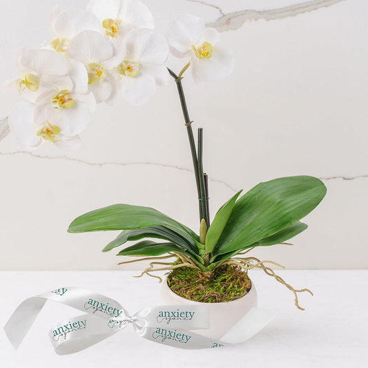 sustainable flower bouquets, eco-friendly flower delivery, green eco flower gifts, environmentally friendly roses, flower and chocolate gift baskets, gourmet flower gift hampers, spa and flower gift baskets, new baby flower baskets, sympathy flower and gift baskets, flowers and sweets gift set, get well soon flower arrangement, sympathy and funeral flowers, luxury rose arrangements, premium flower gift boxes, exclusive orchid gifts,