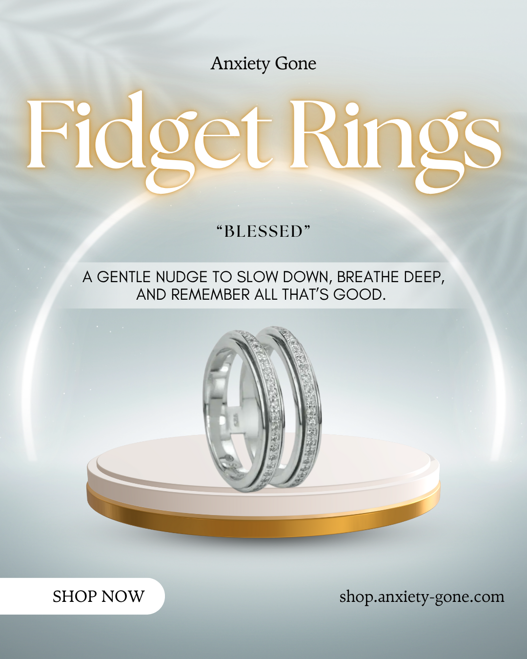 Blessed fidget ring with sterling silver double band and clear CZ stones, displayed with complimentary tin and travel pouch