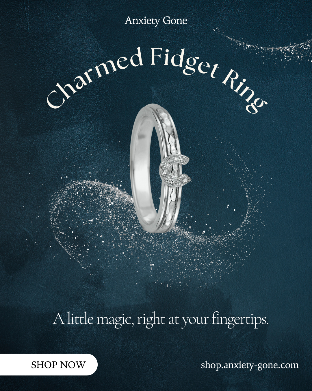 Charmed fidget ring for anxiety relief, spinning anxiety ring for women, calming mental health jewelry, anti-anxiety ring for stress, mindfulness gift for her, stylish anxiety fidget ring
