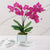 sustainable flower bouquets, eco-friendly flower delivery, green eco flower gifts, environmentally friendly roses,  flower and chocolate gift baskets, gourmet flower gift hampers, spa and flower gift baskets, new baby flower baskets, sympathy flower and gift baskets, flowers and sweets gift set, get well soon flower arrangement, sympathy and funeral flowers, luxury rose arrangements, premium flower gift boxes, exclusive orchid gifts, 