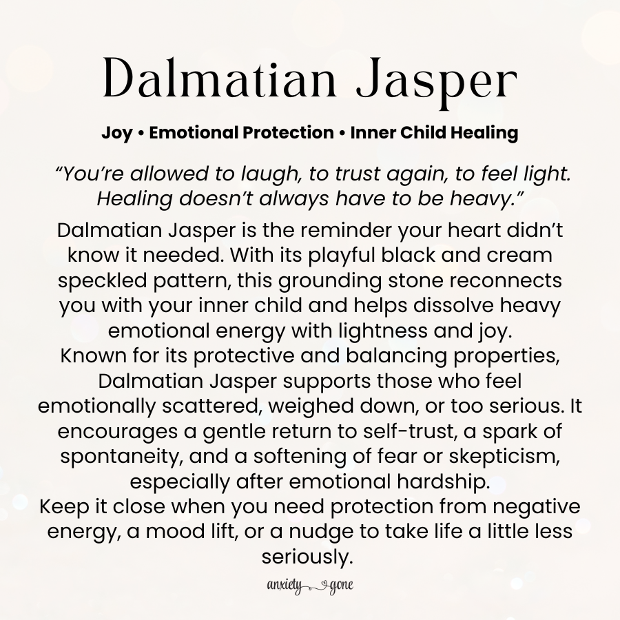 Dalmatian Jasper worry stone for anxiety relief, stress support, and grounding – natural thumb stone with Black Tourmaline inclusions and info card