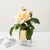sustainable flower bouquets, eco-friendly flower delivery, green eco flower gifts, environmentally friendly roses,  flower and chocolate gift baskets, gourmet flower gift hampers, spa and flower gift baskets, new baby flower baskets, sympathy flower and gift baskets, flowers and sweets gift set, get well soon flower arrangement, sympathy and funeral flowers, luxury rose arrangements, premium flower gift boxes, exclusive orchid gifts, 