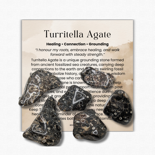 Turritella Agate Tumbled Stone 1 inch, polished fossilized agate healing crystal for grounding and emotional healing, natural turritella gemstone with ancient fossil patterns, calming agate crystal for stress relief and resilience, genuine fossil agate pocket stone for meditation and mindfulness, tumbled gemstone for reiki and chakra healing, unique turritella agate crystal gift for women and men