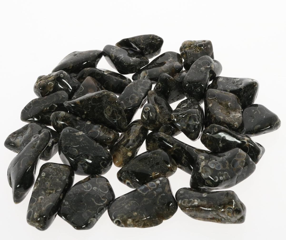 Turritella agate healing properties, turritella agate stone, tumble stones for anxiety, stones for anxiety, healing stones for anxiety, healing crystals for anxiety, anxiety relief, healing stones for anxiety, anxiety healing stones, anxiety healing crystals, healing crystals for anxiety, malas for anxiety, mala beads for anxiety, anxiety mala beads, natural anxiety relief, natural cures for anxiety, anxiety attack, dealing with anxiety, help with anxiety, healing crystals, healing stones,